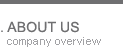 company overview